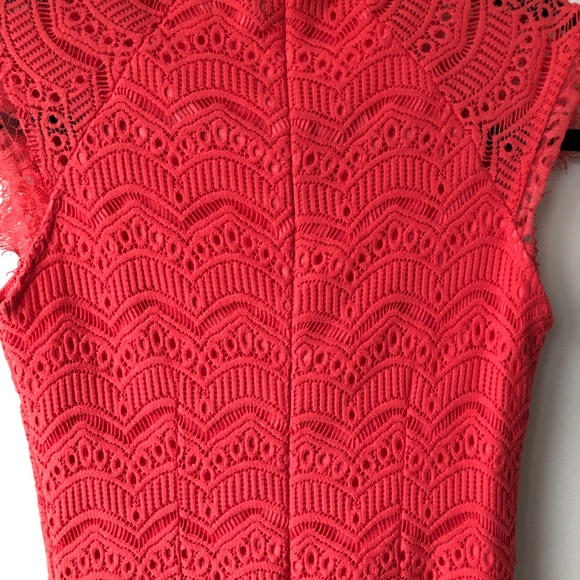 Worn Once Flattering  Dress with Lace Details - Picture 5 of 5